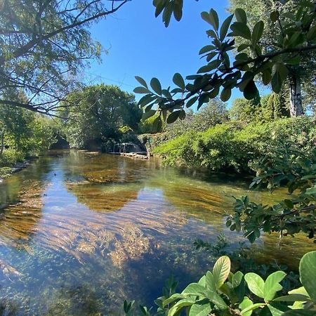 Gite L'Odonate, Partage Des Eaux L'Isle-sur-la-Sorgue Bagian luar foto