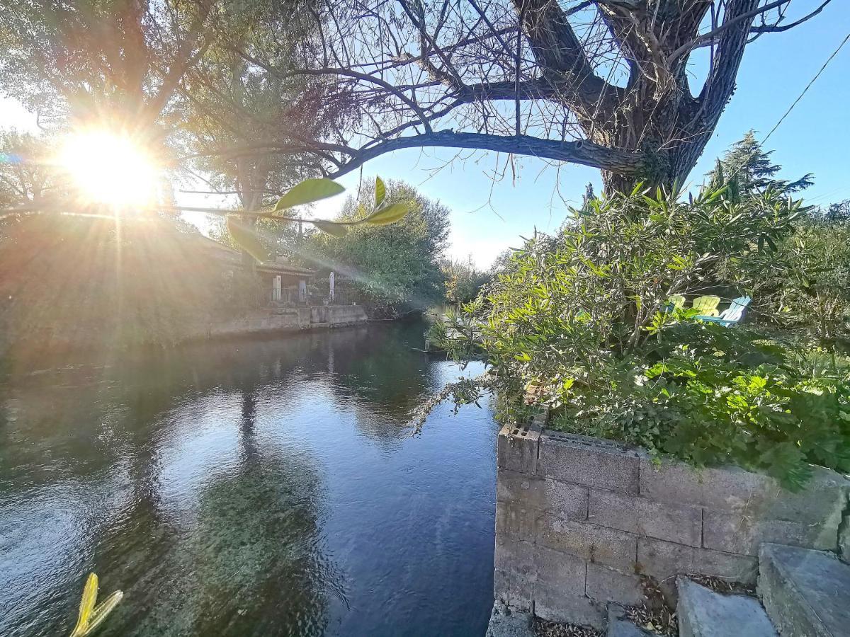 Gite L'Odonate, Partage Des Eaux L'Isle-sur-la-Sorgue Bagian luar foto