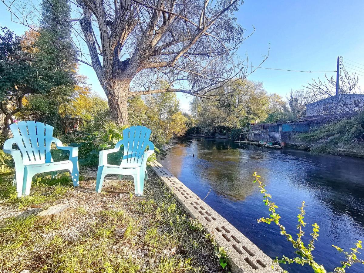 Gite L'Odonate, Partage Des Eaux L'Isle-sur-la-Sorgue Bagian luar foto