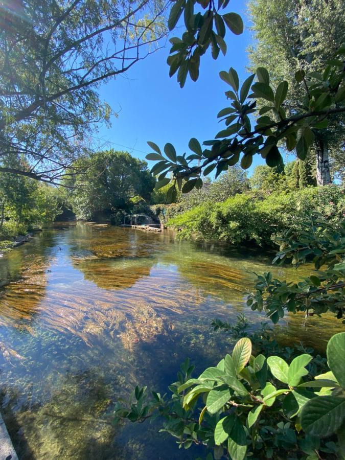 Gite L'Odonate, Partage Des Eaux L'Isle-sur-la-Sorgue Bagian luar foto